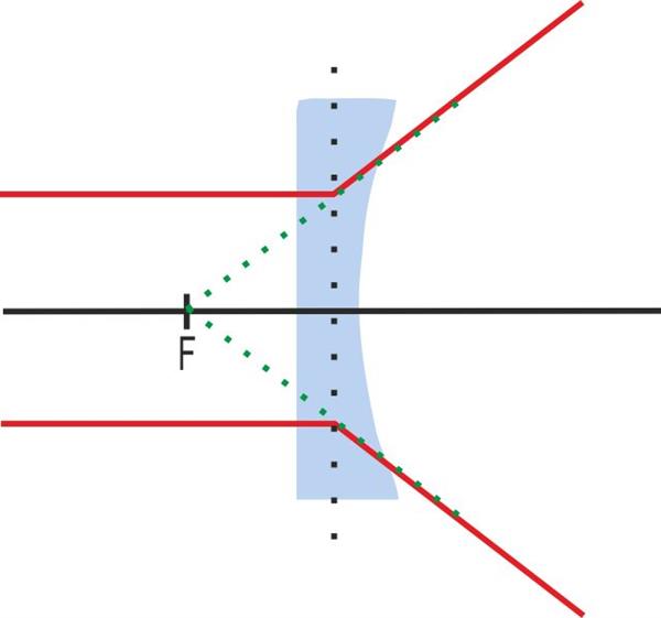 plcv_4.jpg